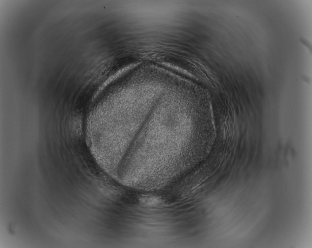 X0000090990602200708241428