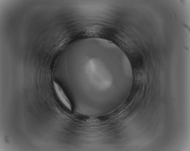 X0000090990603200708241428