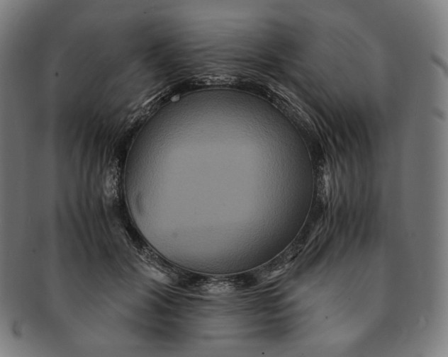 X0000090990604200708241428