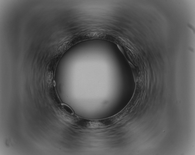 X0000090990605200708241428