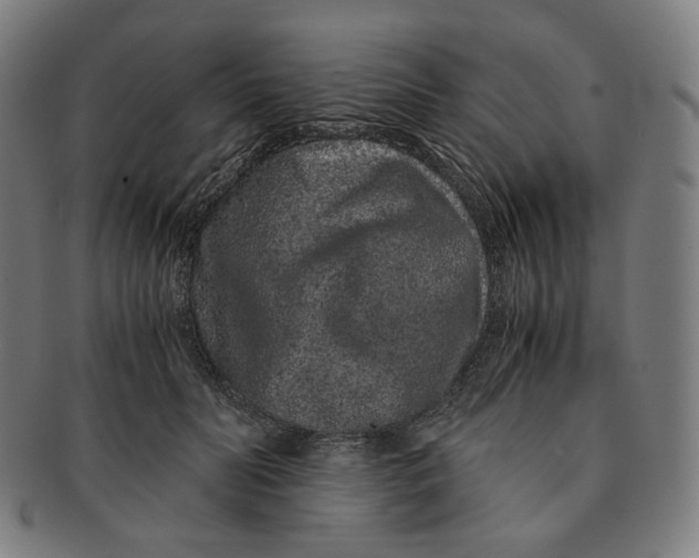 X0000090990606200708241428