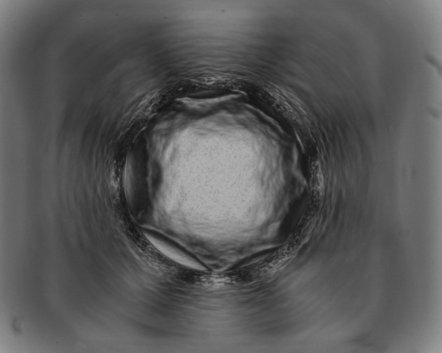 X0000090990607200708241428