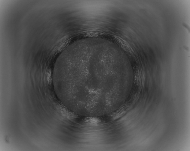 X0000090990610200708241427