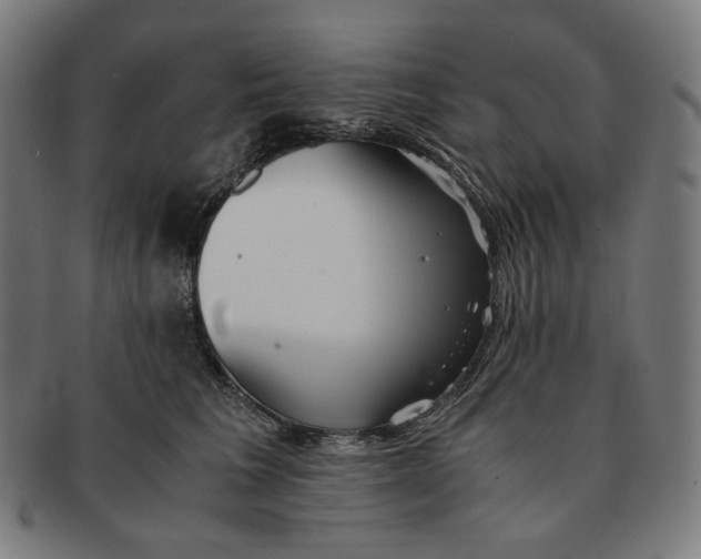 X0000090990613200708241427