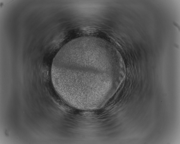 X0000090990615200708241427