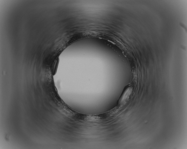 X0000090990617200708241427