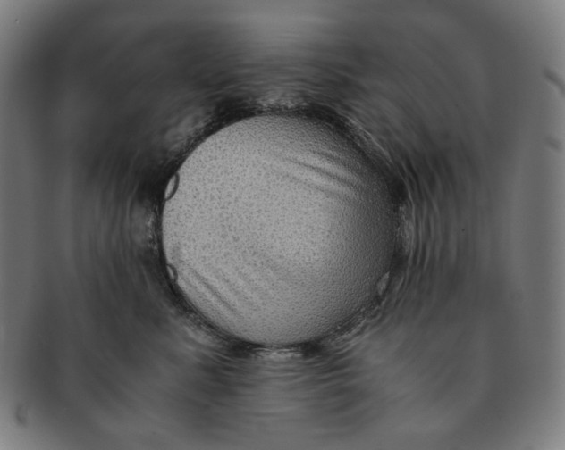 X0000090990619200708241427