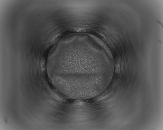 X0000090990620200708241427