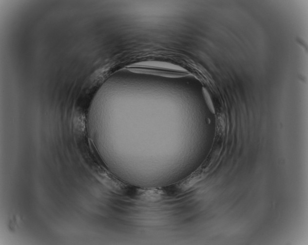 X0000090990621200708241427