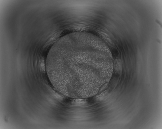 X0000090990622200708241427