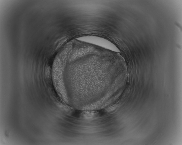 X0000090990623200708241427