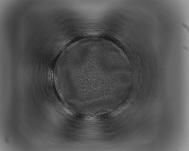 X0000090990624200708241427