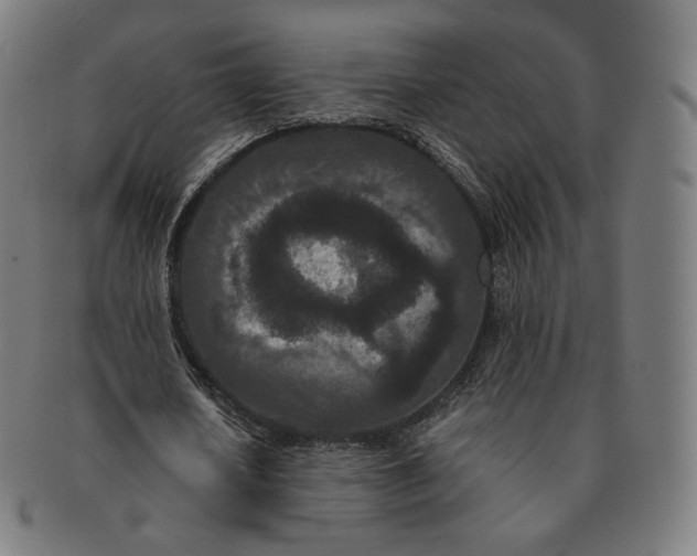 X0000090990626200708241427