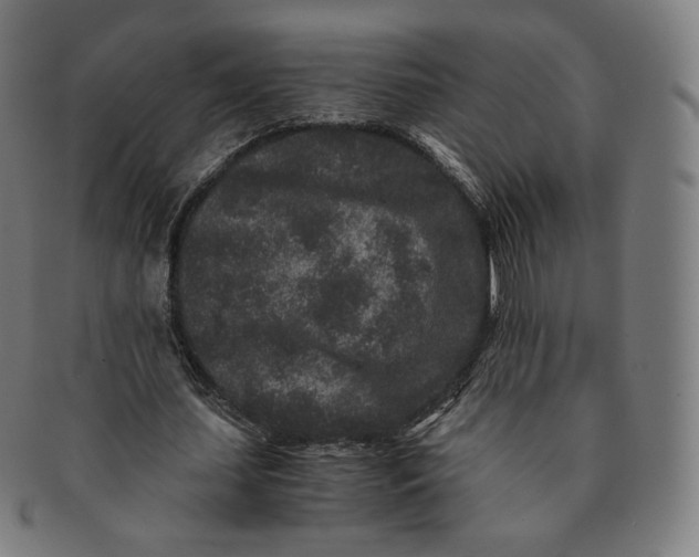 X0000090990627200708241427