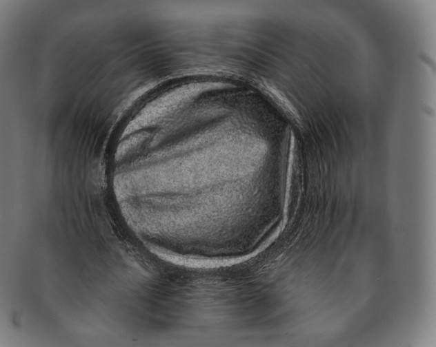 X0000090990628200708241427