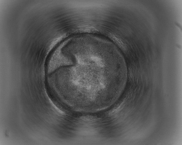 X0000090990630200708241427