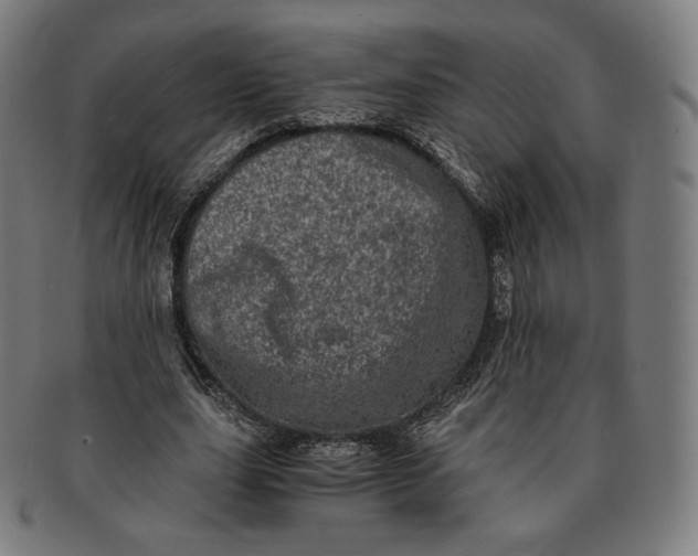 X0000090990631200708241427