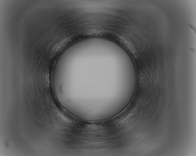 X0000090990633200708241427