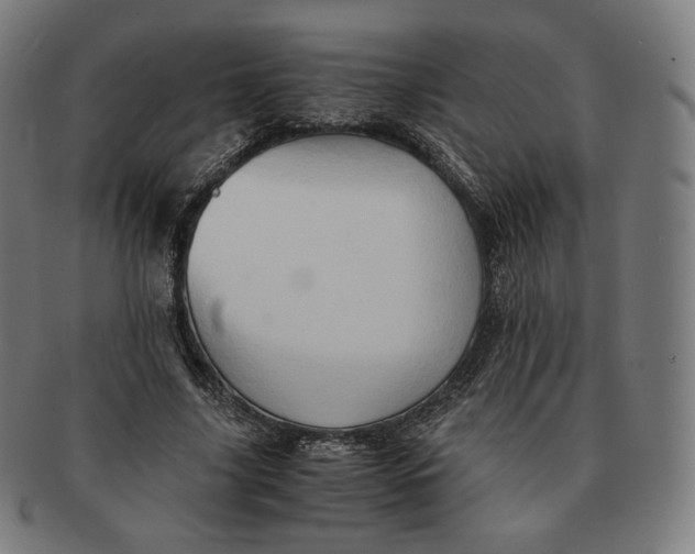 X0000090990635200708241427