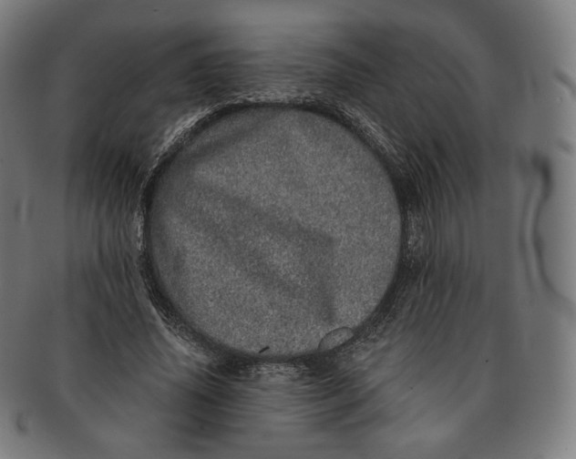 X0000090990636200708241427