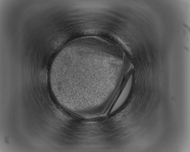 X0000090990637200708241427