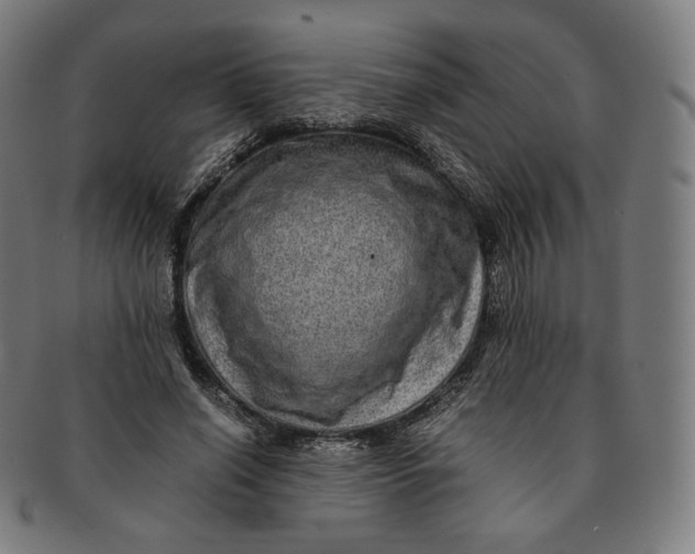 X0000090990638200708241427