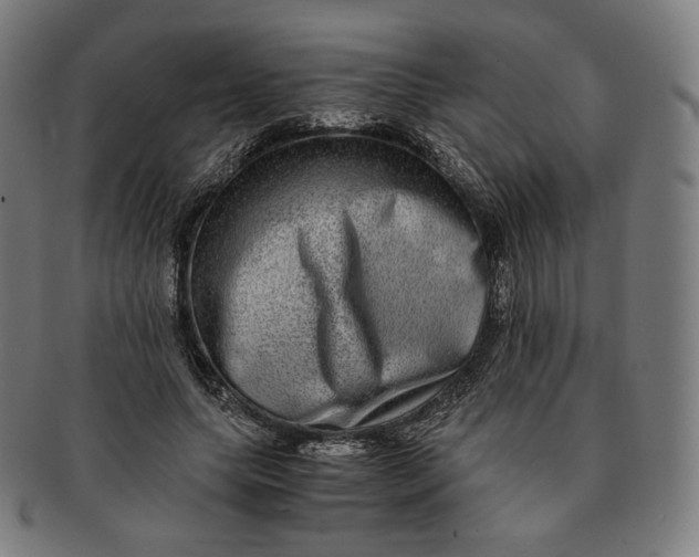 X0000090990639200708241427