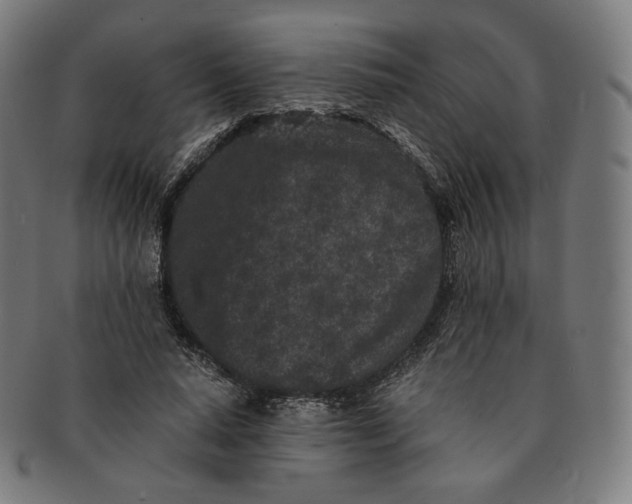 X0000090990640200708241427