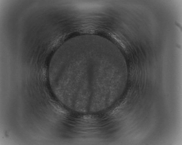 X0000090990641200708241427