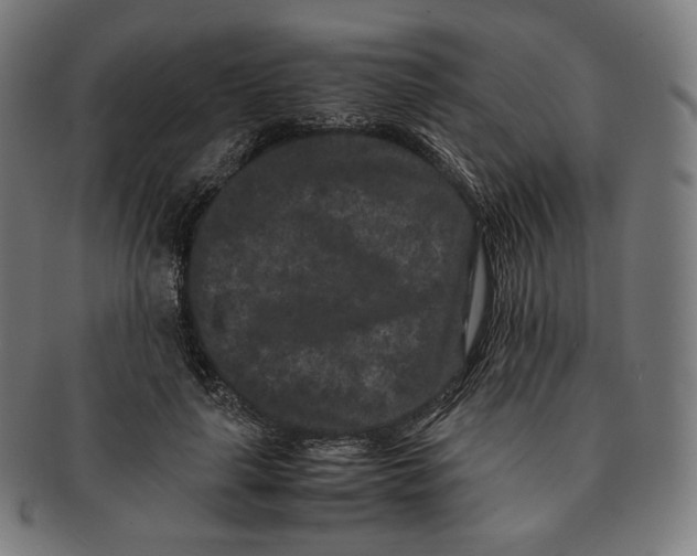 X0000090990643200708241427