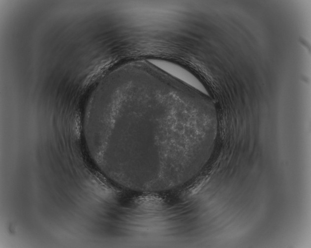 X0000090990644200708241427