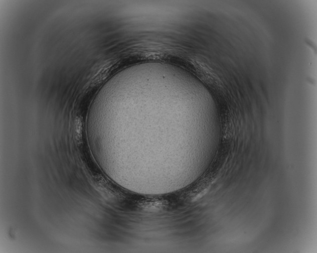 X0000090990646200708241427