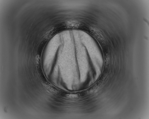 X0000090990649200708241427