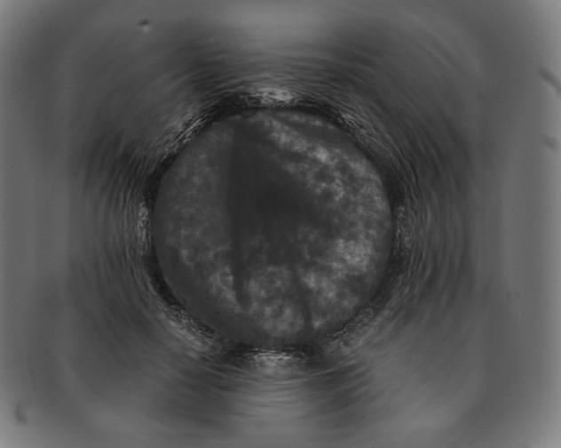 X0000090990650200708241427