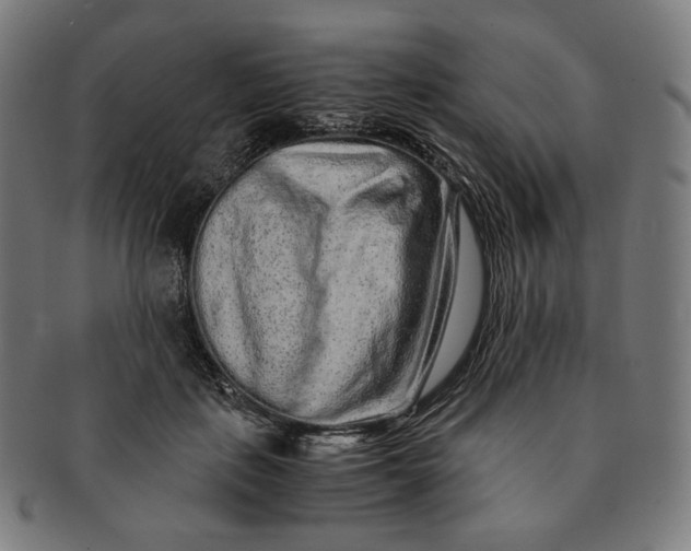 X0000090990651200708241427