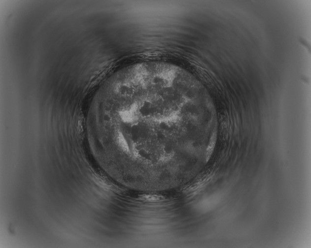 X0000090990654200708241427