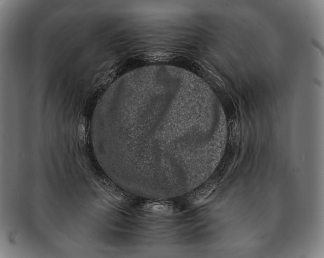 X0000090990655200708241427