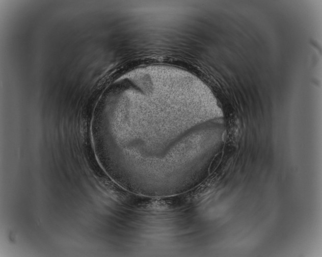 X0000090990656200708241427