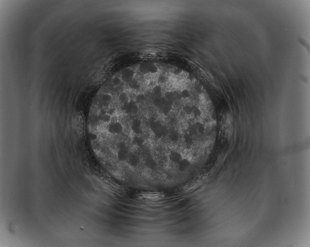 X0000090990659200708241427