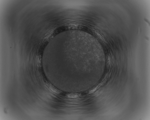 X0000090990661200708241427