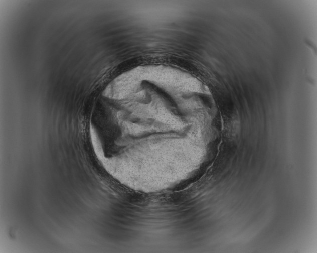 X0000090990662200708241427