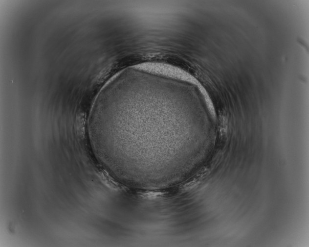 X0000090990664200708241427