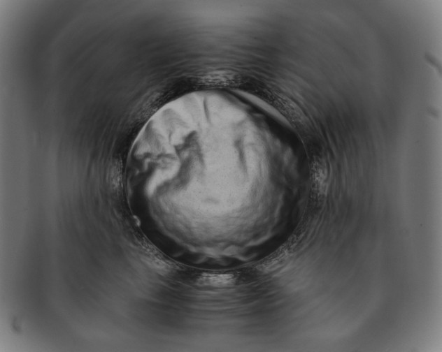 X0000090990665200708241427