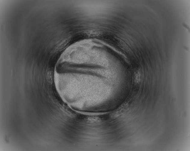 X0000090990666200708241427