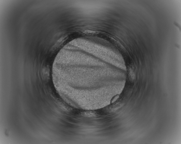 X0000090990668200708241427