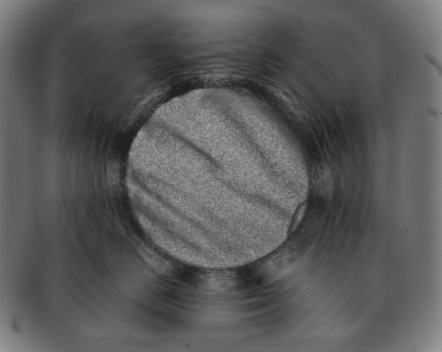 X0000090990670200708241427