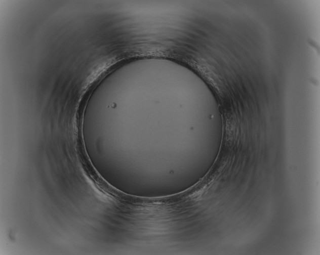 X0000090990674200708241427