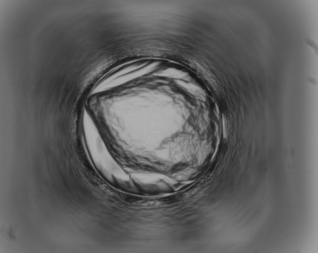 X0000090990675200708241427