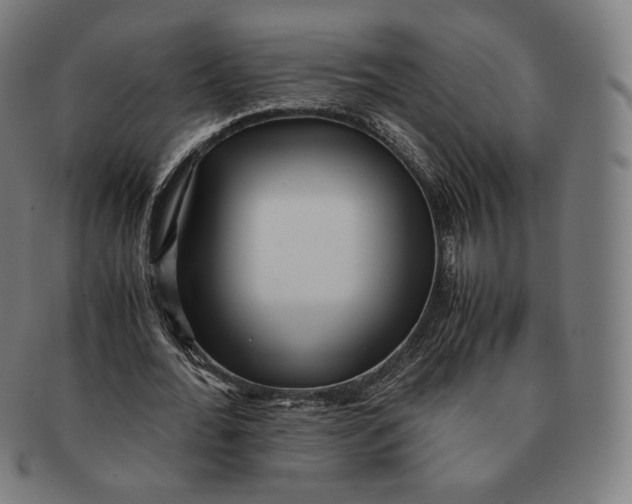 X0000090990676200708241427