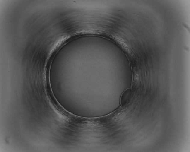 X0000090990678200708241427